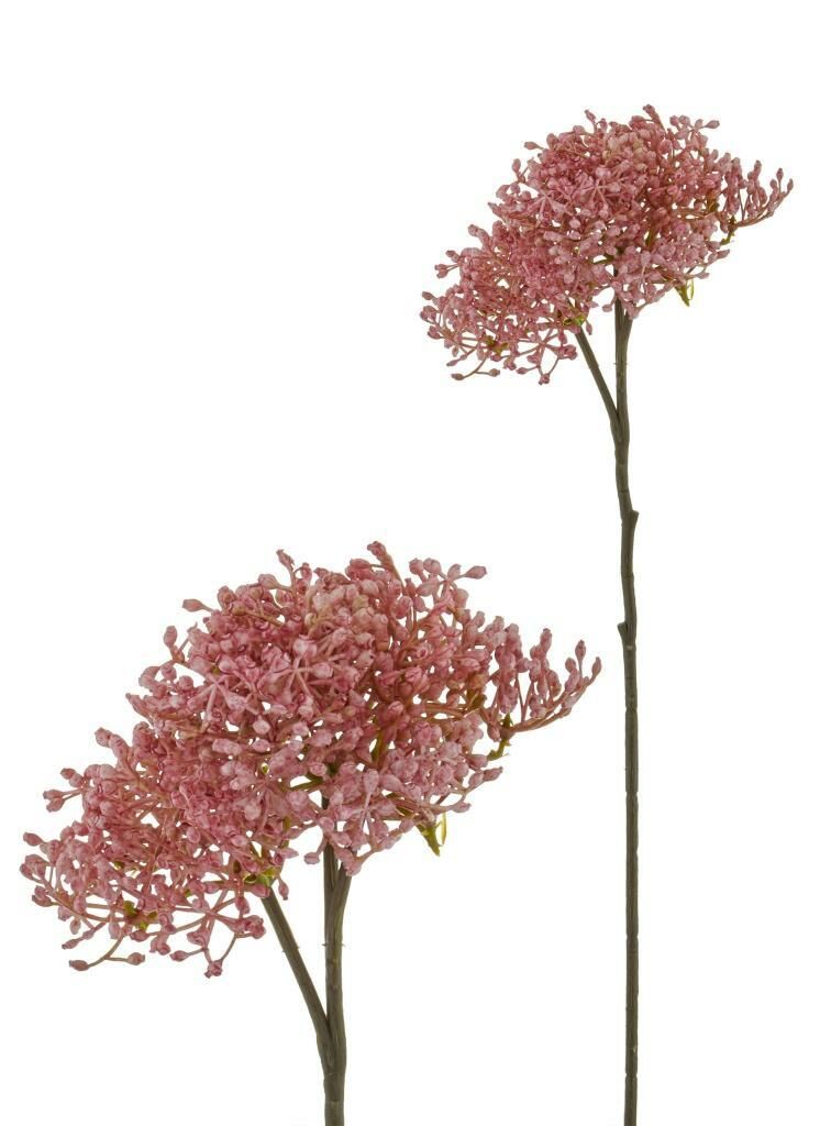 FIORINA PITIRCAK PEMBE