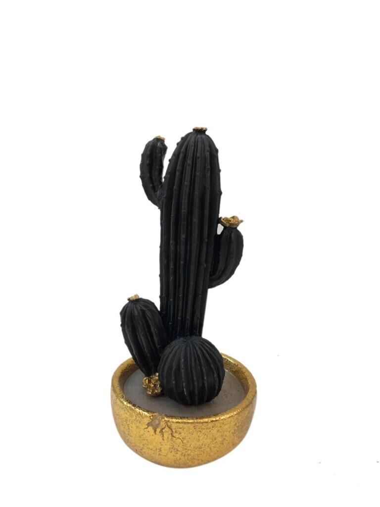 SİYAH ALTIN SAKSILI KAKTÜS 23CM