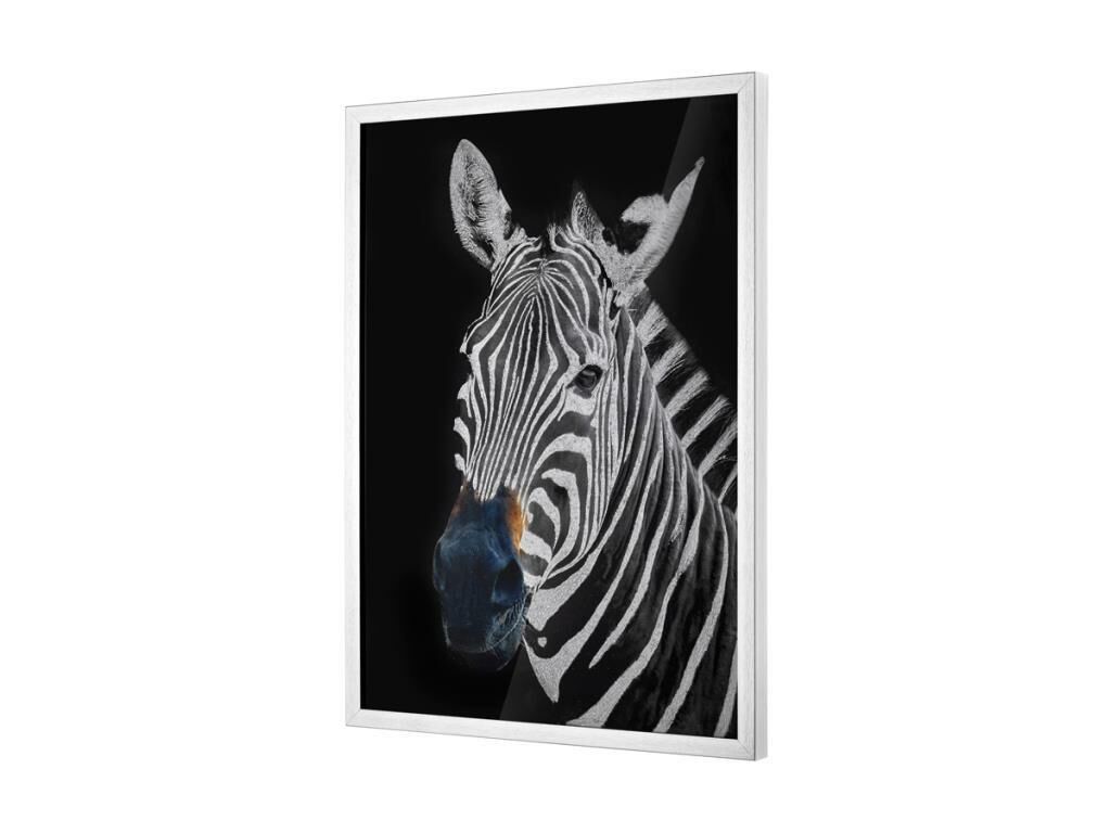 MAVİ BURUNLU ZEBRA DESENLİ TABLO 52CM