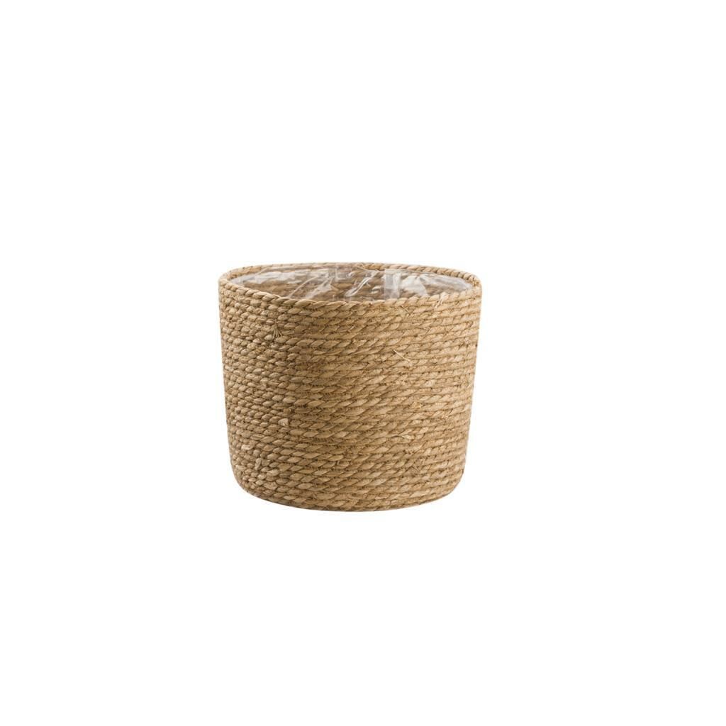 HASIR NATURAL SAKSI 20CM
