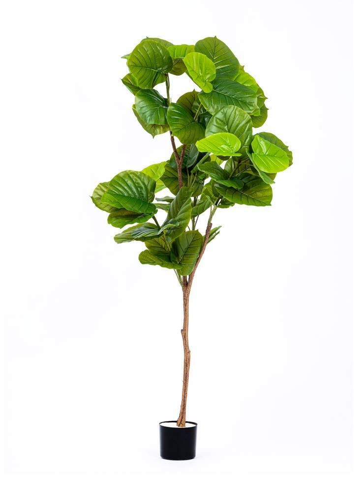 YAPAY FICUS UMBELLATA AĞAÇ 180CM