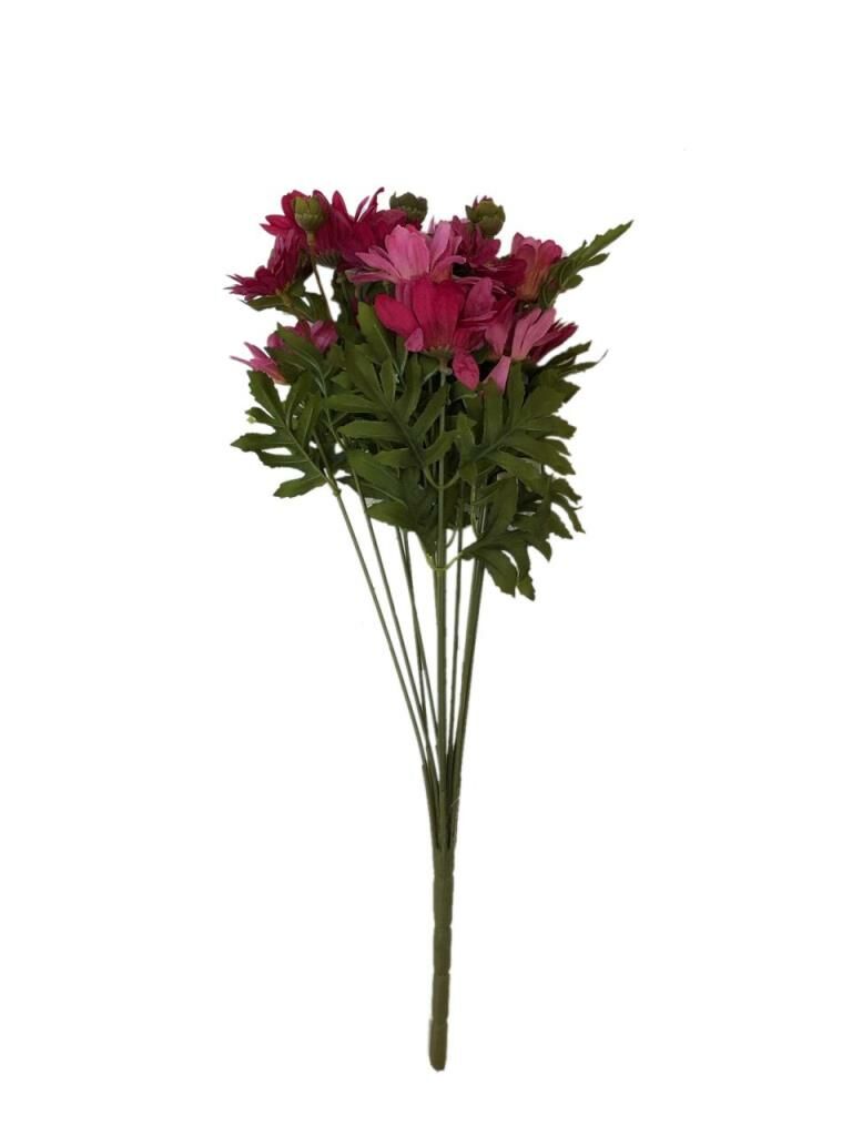 PAPATYA DEMET FUŞYA 45 cm