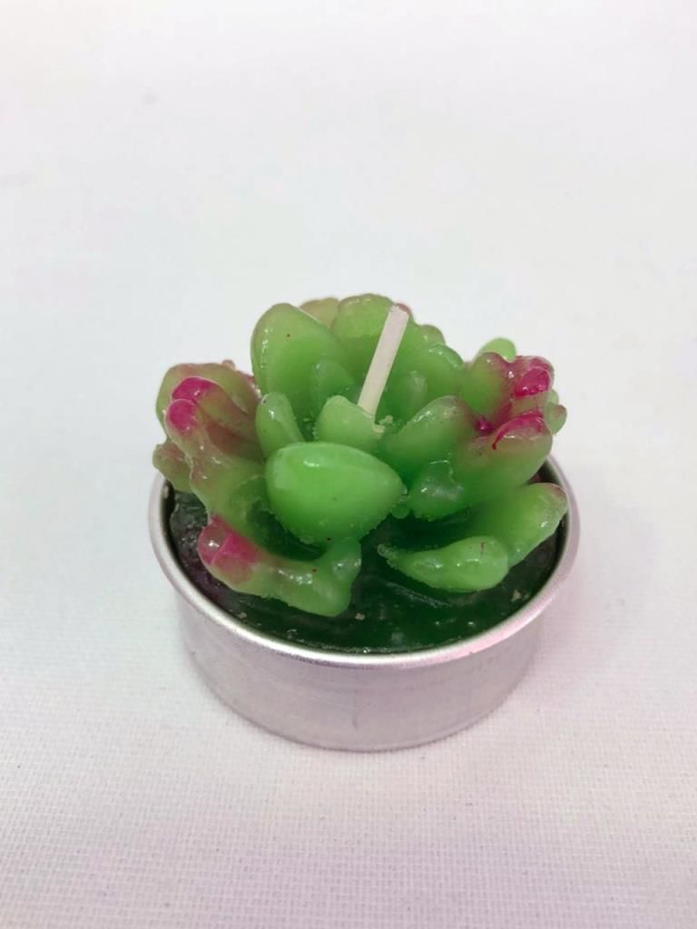 ÇİÇEK KAKTÜS MUM 3,5x4,5 cm