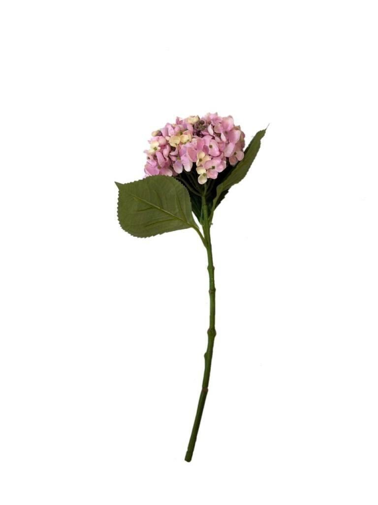 ORTANCA TEK DAL PEMBE 50 cm