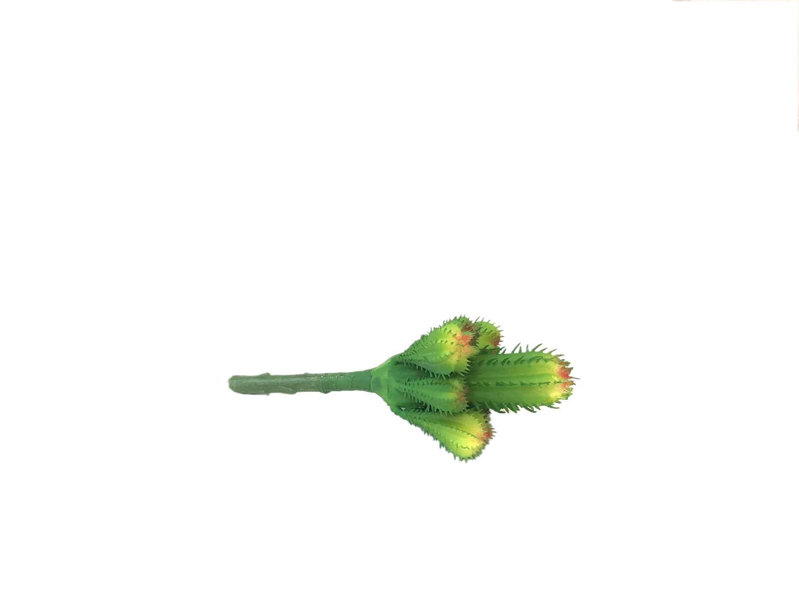 YAPAY TOMURCUK KAKTÜS SKULENT ÇİÇEK DESEN1