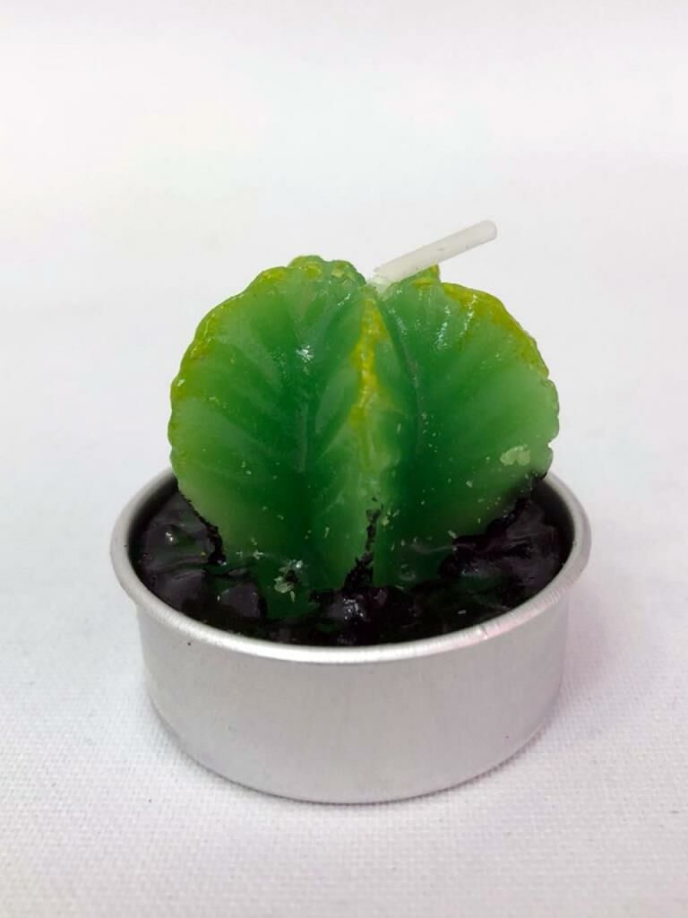 YILDIZ KAKTÜS MUM 3,5x4,5 cm