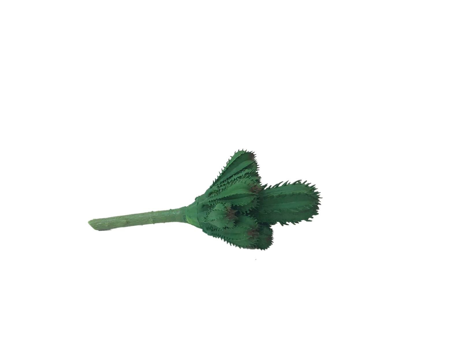 YAPAY TOMURCUK KAKTÜS SKULENT ÇİÇEK DESEN3