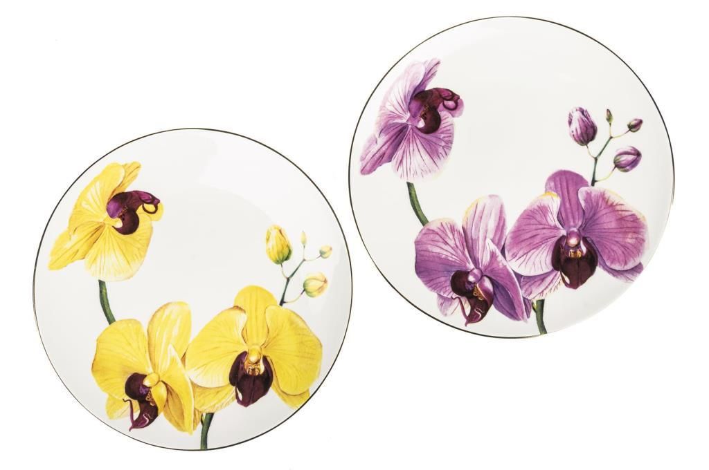 NEW BLOOM 4'LÜ PASTA TABAK 20CM