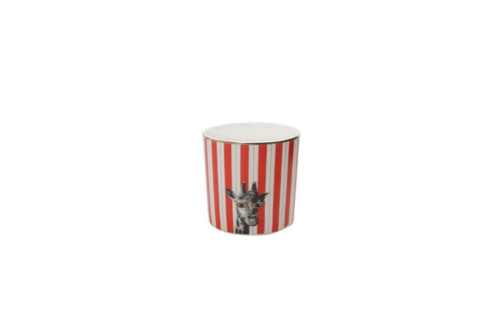 WILD LIFE GIRAFFE BARDAK 230CC