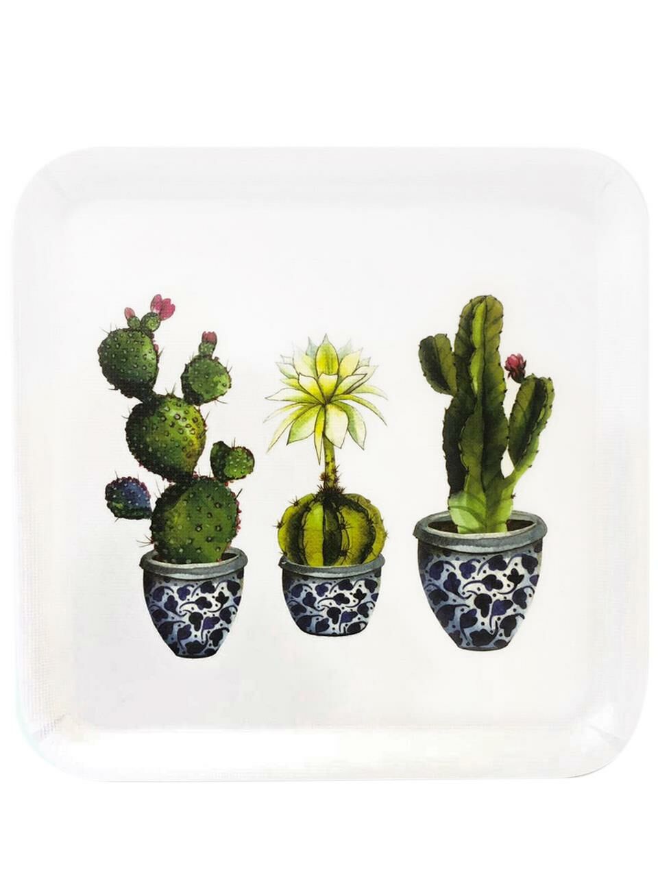 TRIO CACTUS KARE TEPSİİ 33CM