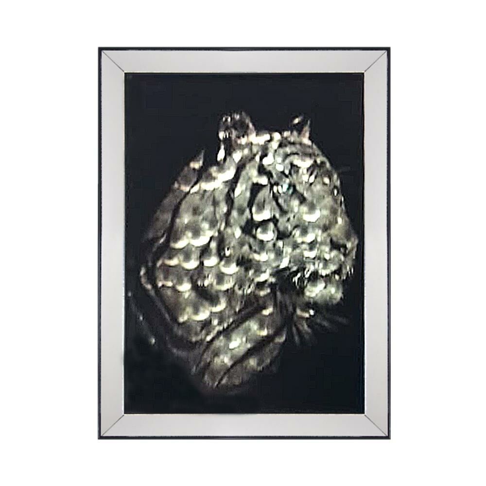 SİYAH AYNALI KAPLAN TABLO 60x80cm