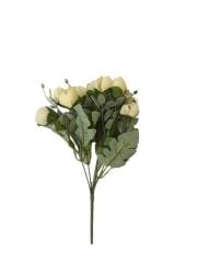TOMURCUK GÜL DEMET KREM 31 cm