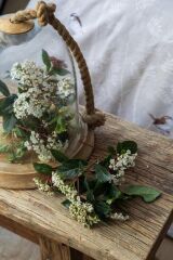 ELYSIAN BEJ ÇİFT KİŞİLİK COMPLETE SET