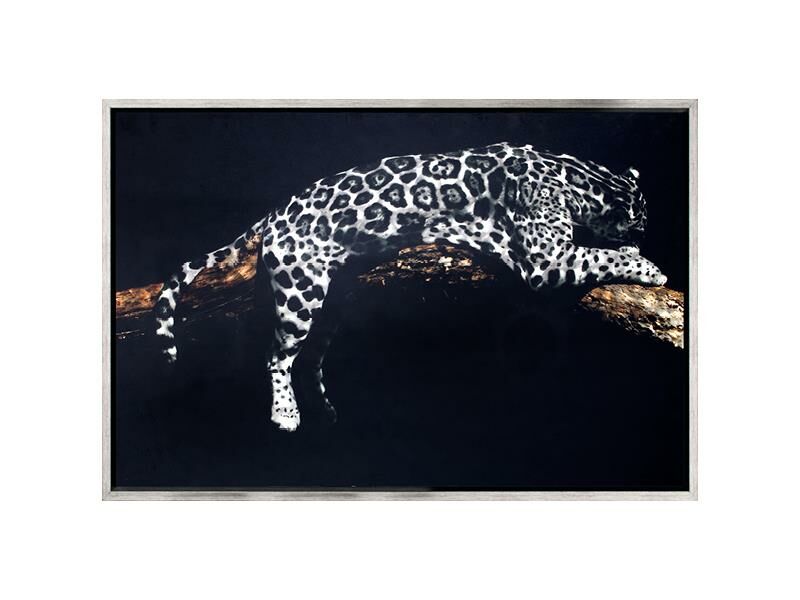 SİYAH GÜMÜŞ KAPLAN TABLO 83X123CM