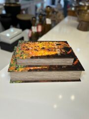 GUSTAV KLİMT AHŞAP 2'Lİ DEKORATİF KUTU