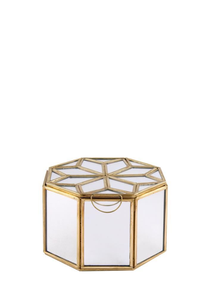 ALTIN ALTIGEN  TERARYUM/KUTU