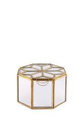 ALTIN ALTIGEN  TERARYUM/KUTU