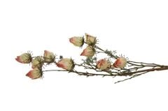 SARI YAPAY TOHUM DALI 91CM