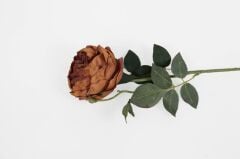 KİREMİT RENGİ YAPAY AUSTİN GÜLÜ 60CM