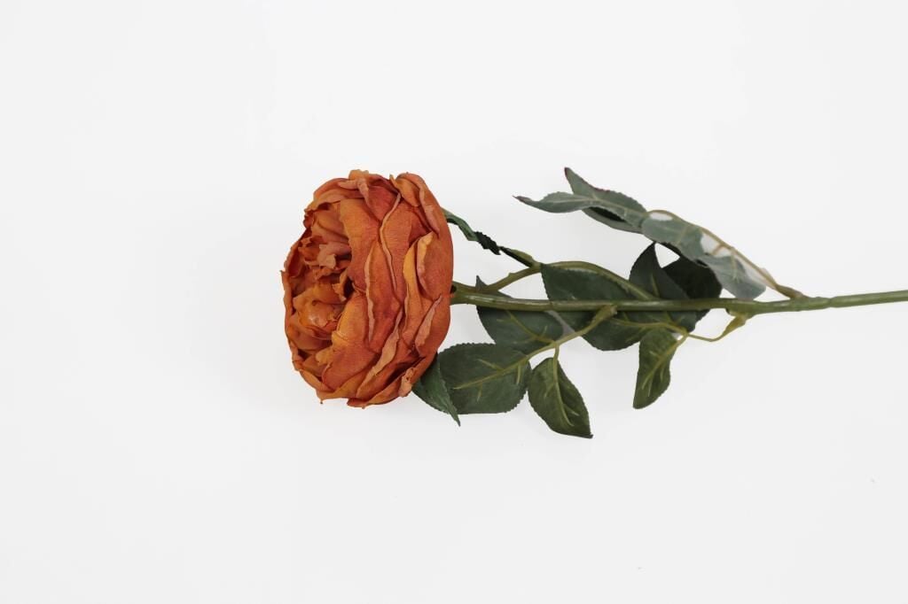 SOMON RENGİ YAPAY AUSTİN GÜLÜ 60CM