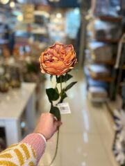 SOMON RENGİ YAPAY AUSTİN GÜLÜ 60CM