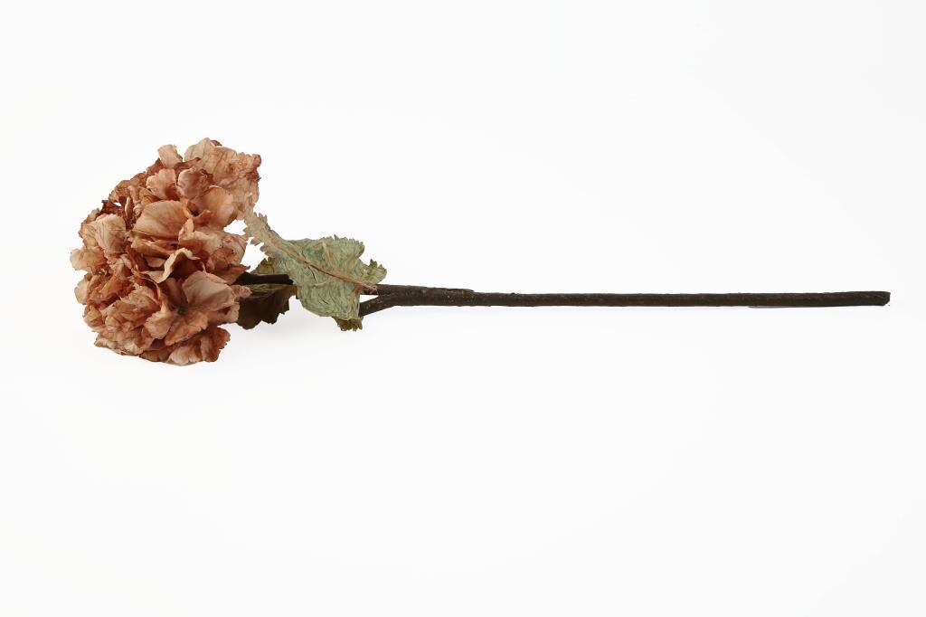 SOMON YAPAY KURU ORTANCA DALI 53CM