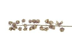 EFLATUN YAPAY ALIÇ DALI 144CM