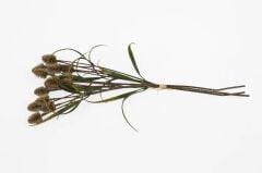 YEŞİL YAPAY DEVEDİKENİ DALI 53CM