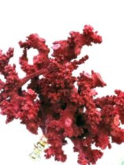 KIRMIZI MERCAN DEKOR 27 cm