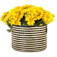SİYAH HASIR SEPET 40X28CM