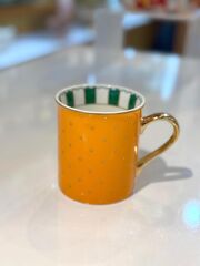 TURUNCU PUANTİYELİ TEKLİ KUPA