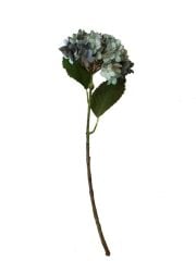 ORTANCA TEK DAL MAVİ 56 cm