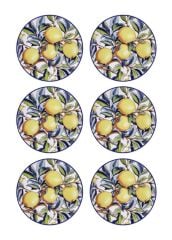 ODORE Dİ LİMONE 6'LI PASTA TABAK 19CM
