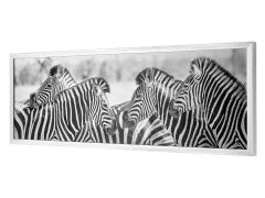 ZEBRA KRALLIĞI UZUN TABLO 107CM