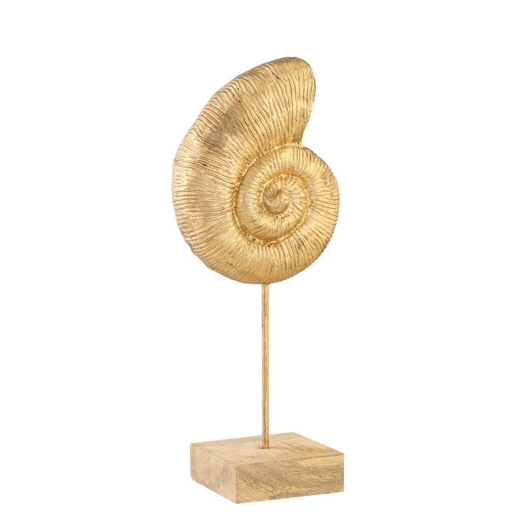 KAİDELİ SALYANGOZ DEKOR 10X16X35CM