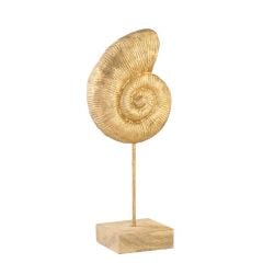 KAİDELİ SALYANGOZ DEKOR 10X16X35CM