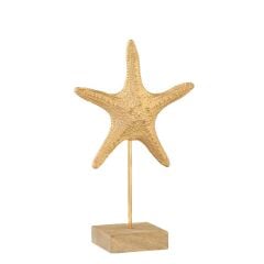 DENİZ YILDIZI DEKOR 10X22X35CM