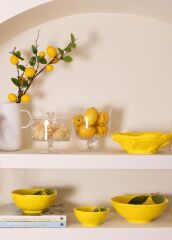 SALATA KASESİ/MEYVELİK SARI 28CM