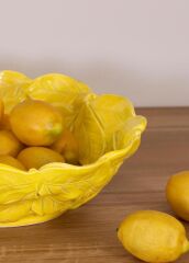 SALATA KASESİ/MEYVELİK SARI 42CM