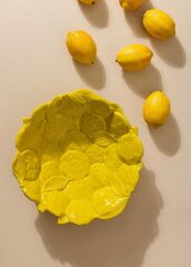 SALATA KASESİ/MEYVELİK SARI 42CM