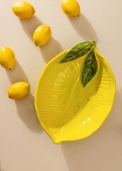 SALATA KASESİ/MEYVELİK SARI 43CM