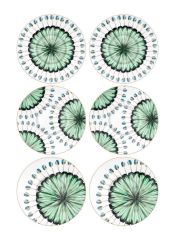 DAINTY 6 KİŞİLİK FİNCAN&BARDAK SETİ