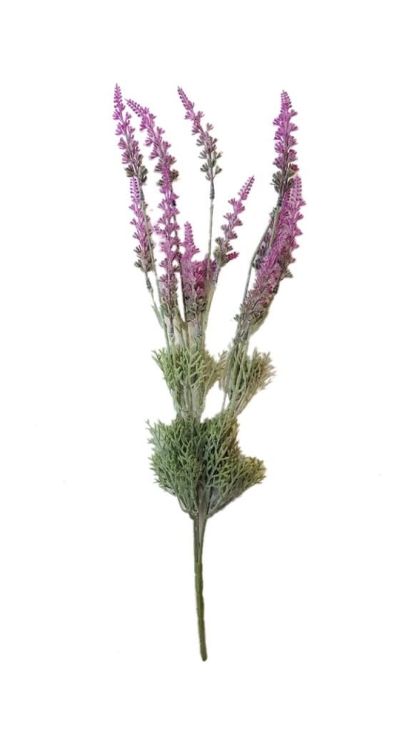 LAVANTA DEMET PEMBE 50 cm