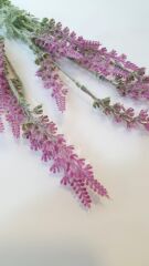 LAVANTA DEMET PEMBE 50 cm