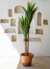 YUCCA YAPAY AĞAÇ YEŞİL 180CM