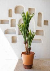 YUCCA YAPAY AĞAÇ YEŞİL 150CM