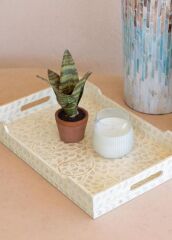 SEDEF TEPSİ 45X30X5CM