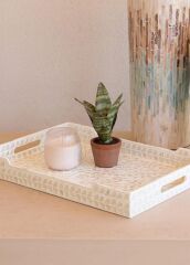 SEDEF TEPSİ 45X30X5CM