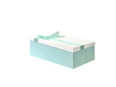 MİNT YEŞİL BEYAZ FİYONKLU KUTU 28CM