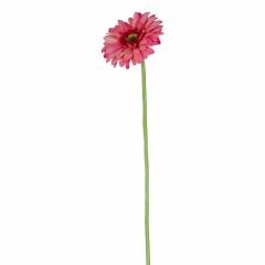 KOYU PEMBE TEK DAL GERBERA